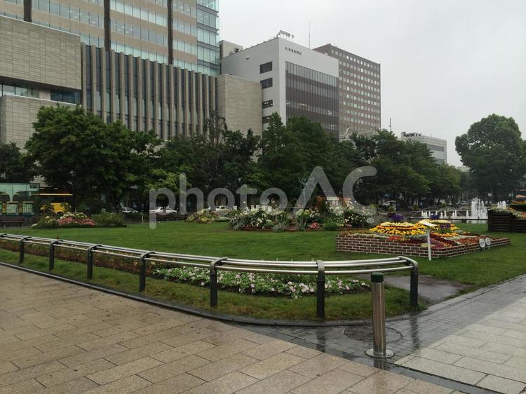 雨で誰もいない札幌の大通公園3丁目と街並 大通公園,雨,札幌の写真素材