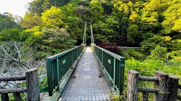 雄淵雌淵公園の奇石渓谷美 雄淵雌淵公園の奇石渓谷美 雄淵雌淵公園,佐賀市,古湯温泉の写真素材