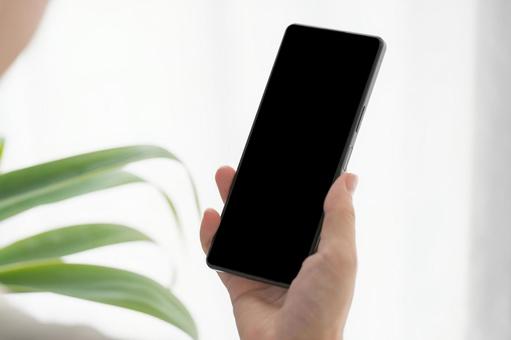 明るい部屋でスマホを持っている女性の手元 明るい部屋でスマホを持っている女性の手元 スマホ,部屋,観葉植物の写真素材