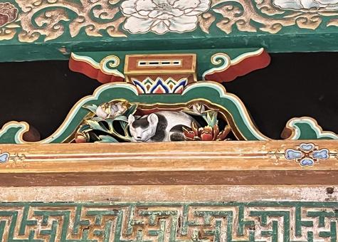 日光東照宮の眠り猫 日光東照宮の眠り猫の写真
