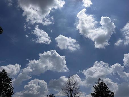 空3 空3 空,風景,自然の写真素材