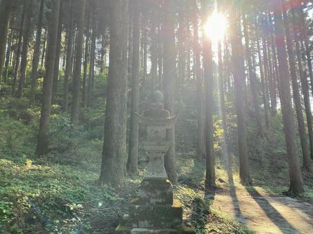 森・太陽・寺社仏閣 森・太陽・寺社仏閣の写真