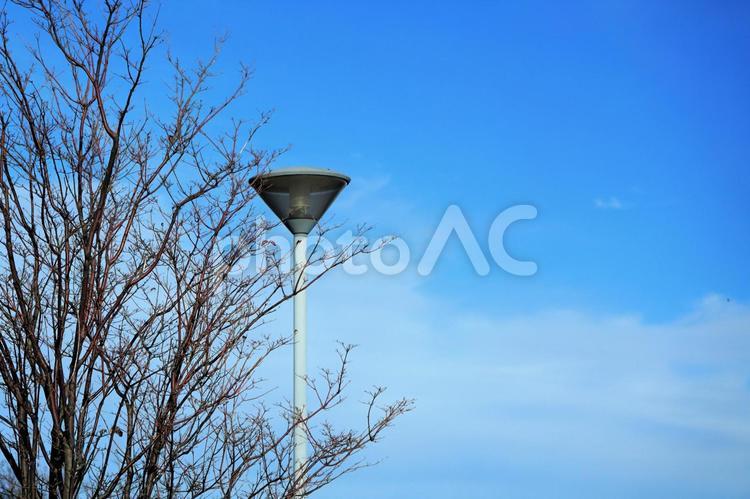人の顔に見える街灯 街灯,青空,雲の写真素材