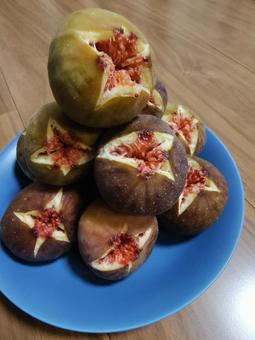 イチジク イチジク フルーツ,果物,秋の写真素材