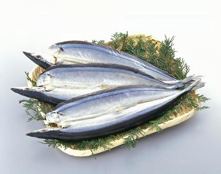 さんまの開き さんまの開き さんまの開き,秋刀魚,干物の写真素材
