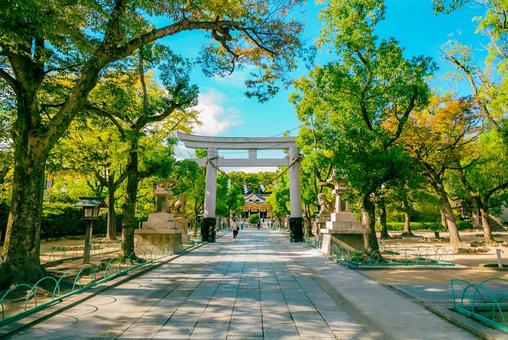 【兵庫】神戸駅周辺の湊川神社 湊川神社,兵庫,神戸の写真素材
