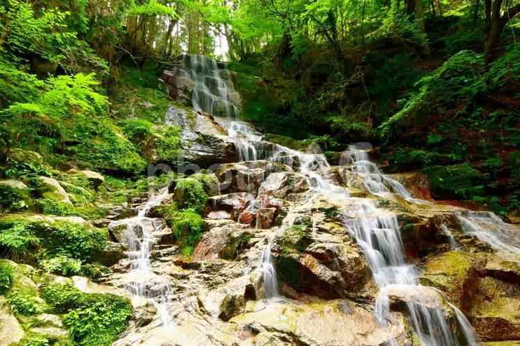 初夏の来若の滝（岐阜県　串原七つの滝） 来若の滝,滝,岩の写真素材