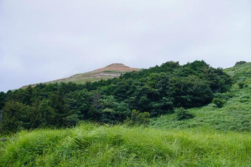 北九州 平尾台の風景 北九州 平尾台の風景 自然,平尾台,風景の写真素材