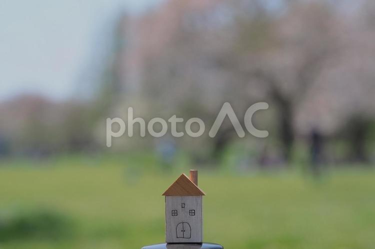 かわいい家の置き物（春のイメージ） 家,一戸建て,マイホームの写真素材