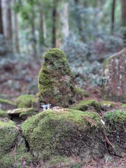 岩猿 岩猿 自然,仏像,苔の写真素材
