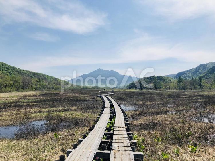 尾瀬の木道 尾瀬,尾瀬ヶ原,木道の写真素材