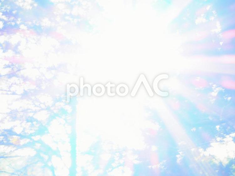 眩い木漏れ日 レンズフレア,木漏れ日,太陽光の写真素材