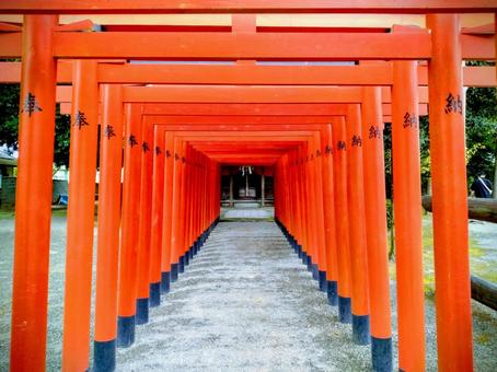 熊本市稲荷神社 熊本市稲荷神社 水前寺成趣園,水前寺公園内,稲荷神社の写真素材