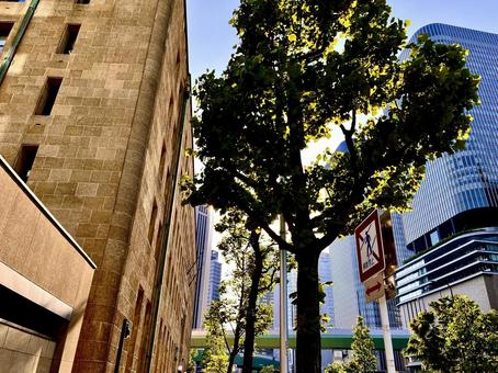 都市の街並 都市の街並 都市,都市の街並,都会の写真素材