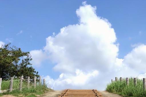 青空に続く階段 景色 前向きなイメージ 青空に続く階段 景色 前向きなイメージ 青空,階段,前向きの写真素材
