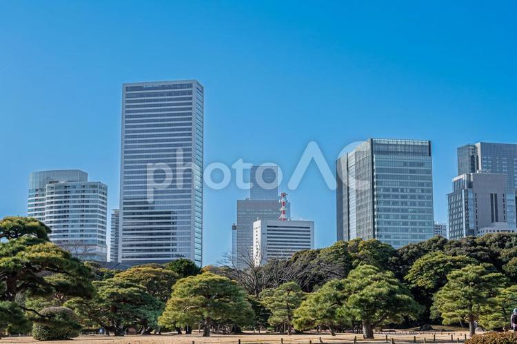 東京　浜離宮恩賜庭園の風景 東京,東京都,浜離宮恩賜庭園の写真素材