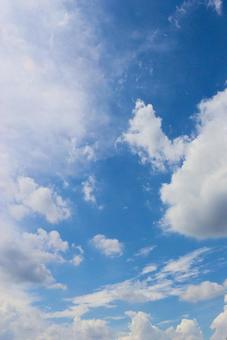 空　縦位置の写真