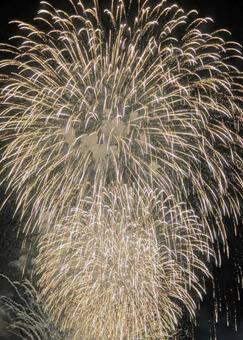 花火 花火の写真