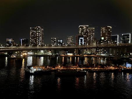 The view from the Yurikamome train at night, JPG