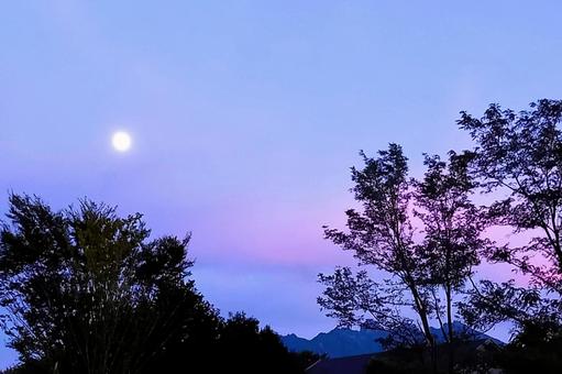 薄紫の空に浮かぶ満月 薄紫,夕暮れ,パープルの写真素材