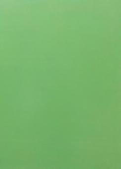 緑色の壁の写真