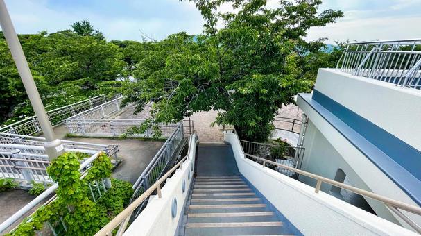 高塔山公園の園内風景 高塔山公園,若松区,北九州の写真素材