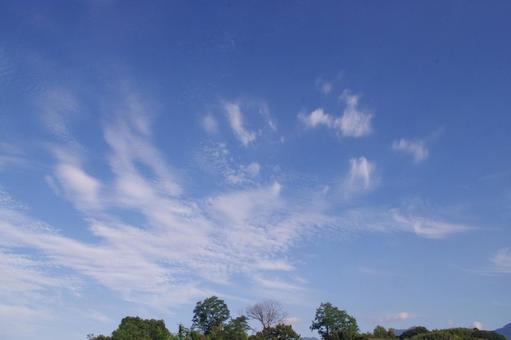 早朝の夏空 早朝の夏空の写真