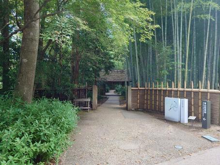 東山旧岸邸入口 東山旧岸邸入口 東山旧岸邸,入口,御殿場の写真素材