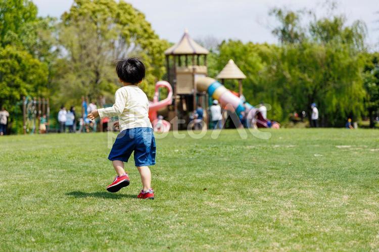 芝生を走り回る男の子 公園,育児,子育ての写真素材