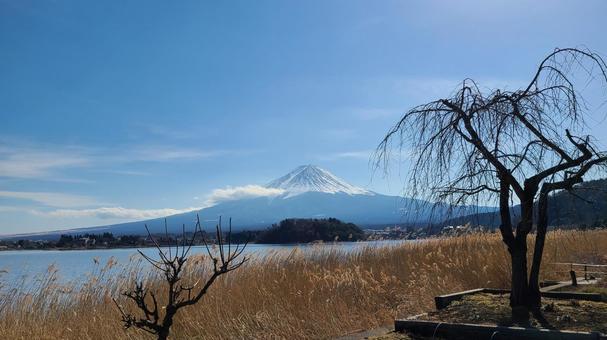 遠くに見える富士山 富士山,河口湖,湖の写真素材