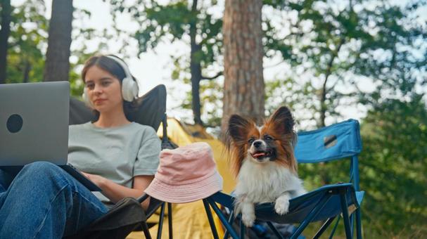 仕事をする女性とおとなしい犬 女性,外国人,犬の写真素材