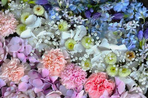 一面の花 一面の花 花,一面,たくさんの写真素材