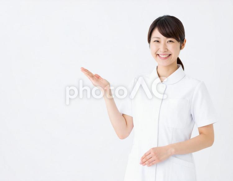 笑顔で案内する日本人看護師 看護師,医療従事者,白衣の写真素材
