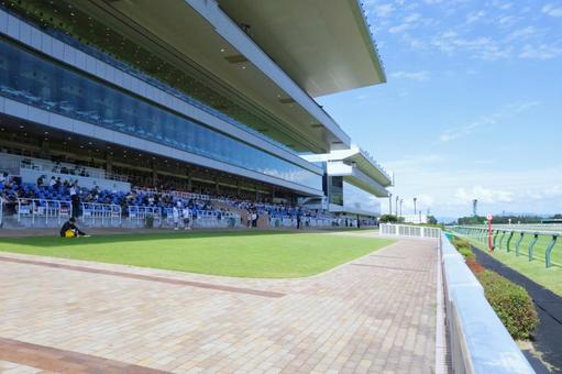 晴れた日の新潟競馬場 晴れた日の新潟競馬場 新潟競馬場,競馬場,スタンドの写真素材