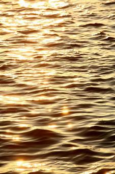 夕方の海 夕方の海の写真