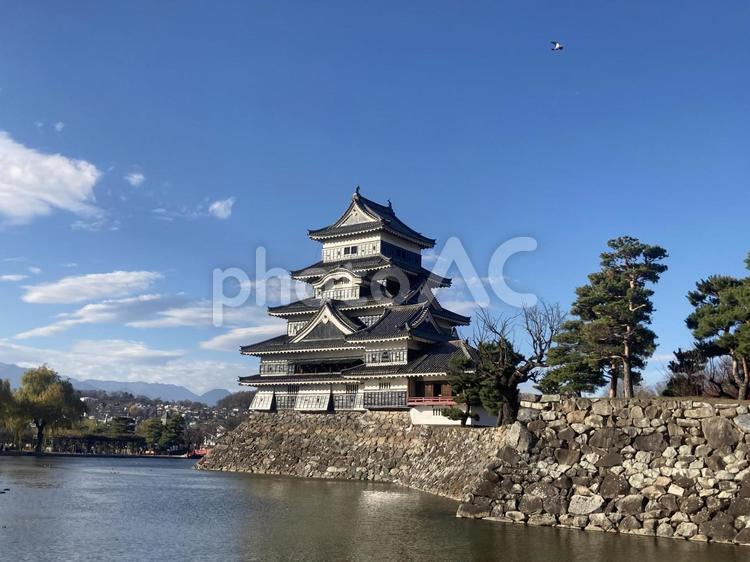 松本城と美しい空 松本城,青空,松本市の写真素材
