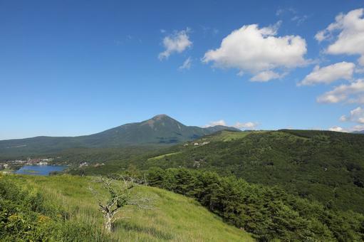 ビーナスラインより1 高原,車山,空の写真素材