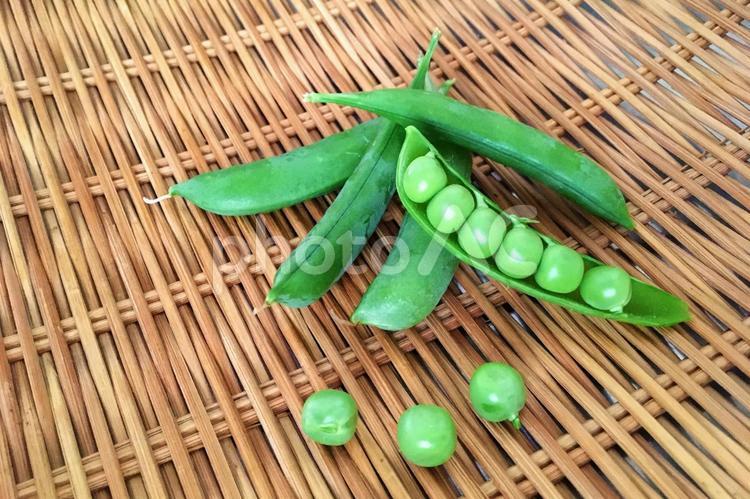 えんどう豆と夏の涼しそうな和風イメージ えんどう,えんどう豆,さやえんどうの写真素材