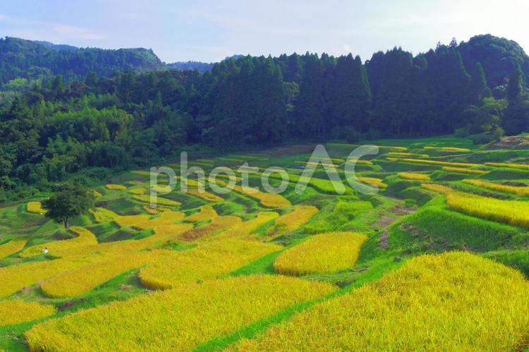 鴨川の風景 長狭米,農村,風景の写真素材