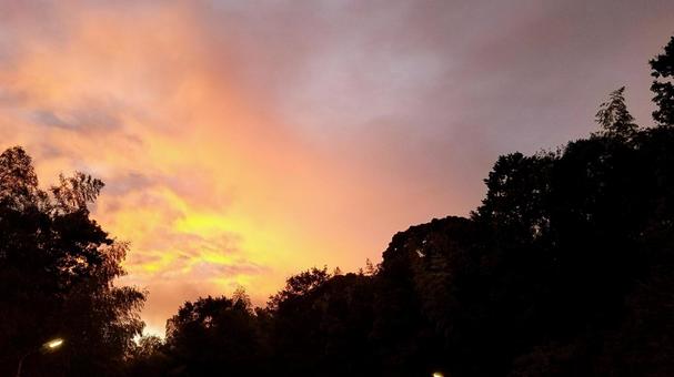 夕焼け 夕焼けの写真