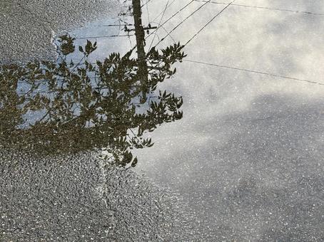 雨上がりの水たまり 雨上がりの水たまりの写真