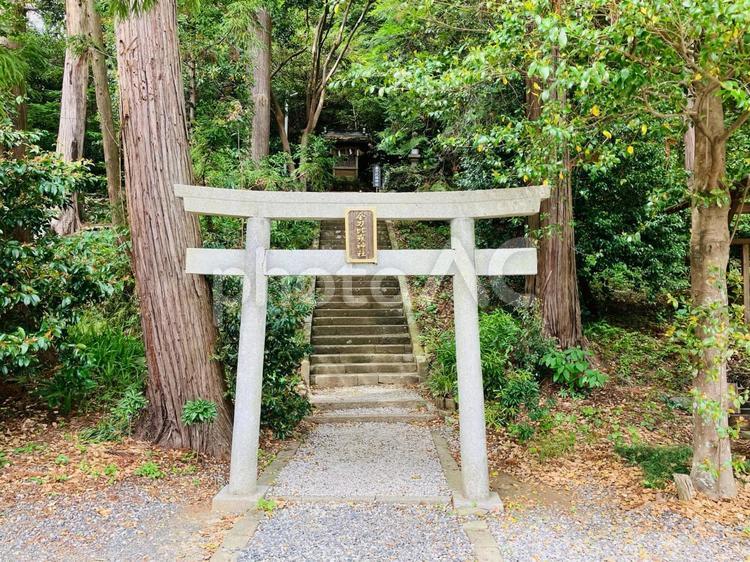 ことのまま八幡宮　金刀比羅神社 事任八幡宮,ことのまま八幡宮,静岡県掛川市の写真素材