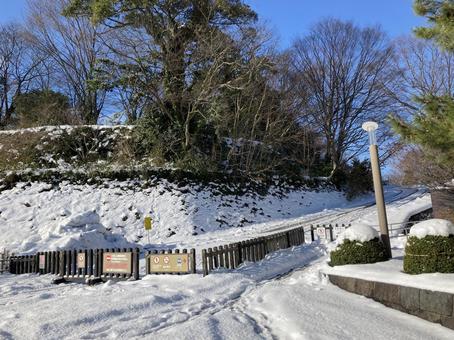雪景色 雪景色 雪景色,雪,真っ白の写真素材