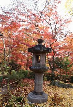 常寂光寺の紅葉 常寂光寺,紅葉,秋の写真素材