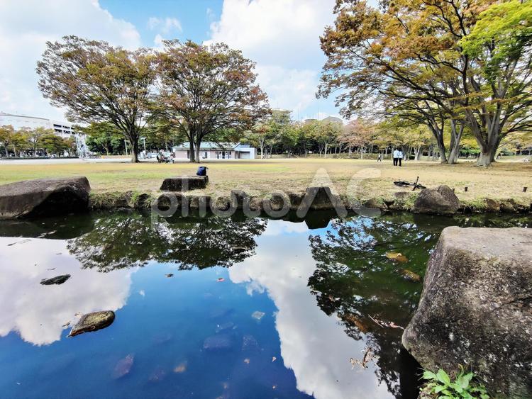 公園の池と紅葉 庭園,水鏡,リフレクションの写真素材