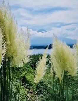 富士河口湖 富士河口湖の写真