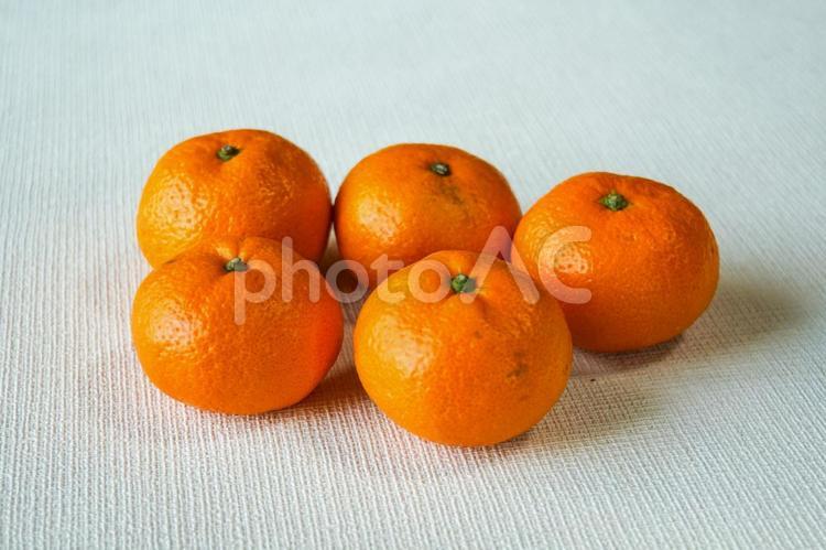 白背景に置かれた５つのみかん みかん,オレンジ,果物の写真素材