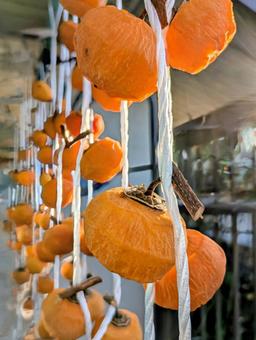 吊るし柿 吊るし柿 柿,干し柿,渋柿の写真素材