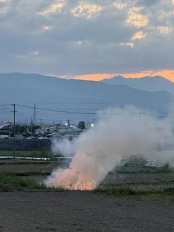 Photo, field burn, bank, natural, 