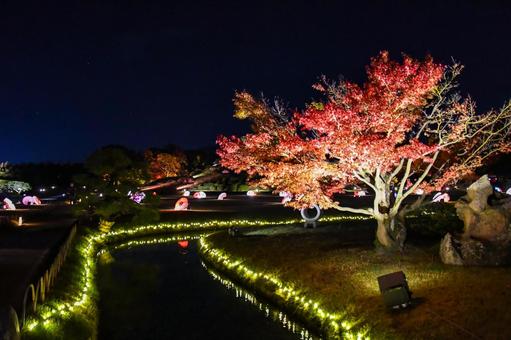 ライトアップされた岡山後楽園の小川 ライトアップされた岡山後楽園の小川 岡山後楽園,小川,秋の幻想庭園の写真素材